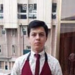 �������, �������, 24 ����