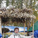 ���� �����, ������ - ��������� 11 ������� 2025 � ������ ���� ����������