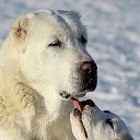 ���� ��������, �����������-��-����� - ��������� 30 ������� 2025 � ������ ���� ����������