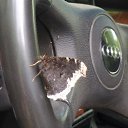���� �������, ���������, 64 ���� - ��������� 4 ���� 2026 � ������ ���� ����������