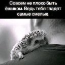 ���� ����, ���� - ��������� 16 ������ 2025 � ������ �������