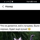 ���� �������, �������, 48 ��� - ��������� 15 ������ 2026 � ������ ������ ��������
