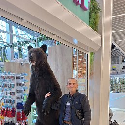 ����, �����������, 59 ���