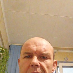 ����, 44 ����, ������