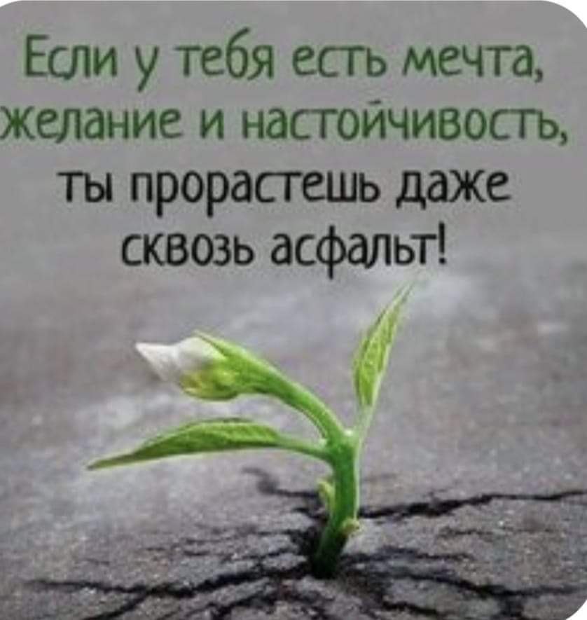   - 2  2024  07:22