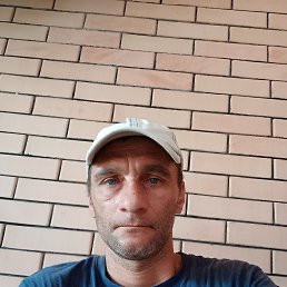 , 41 , 
