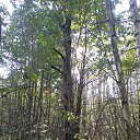 ���� ����, ������, 18 ��� - ��������� 15 �������� 2025