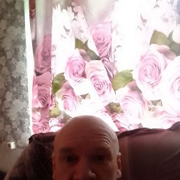 , 53, 