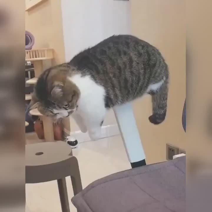 ��� ����� �� �������, ��� ��� �����������, � ���������, ��� ���������