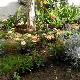 Anatoliy, ���������, 72 ����