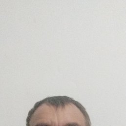 , 37,  ()