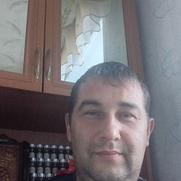 , 41, 