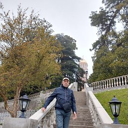 ������, �����, 65 ���