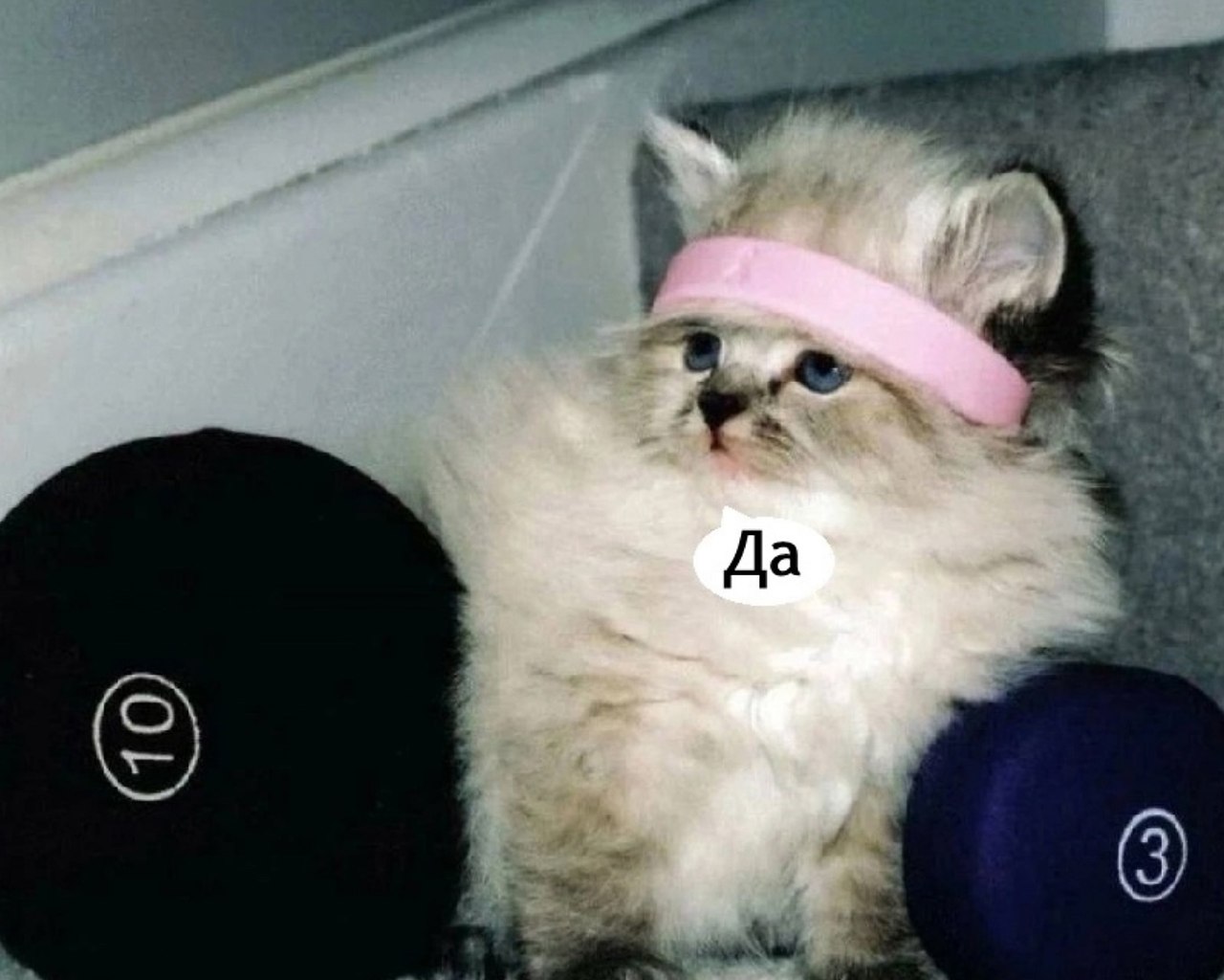     - 2