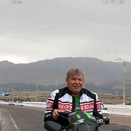 , 59, 