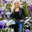 ���� ����, ������� - ��������� 8 ������� 2026 � ������ ���� ����������