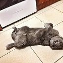 ���� ������, ������ - ��������� 3 ������� 2025 � ������ ���� ����������