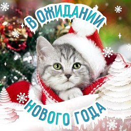 ����, ���������, 35 ���