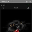 ���� ������, ������ ��������, 59 ��� - ��������� 1 ������� 2024