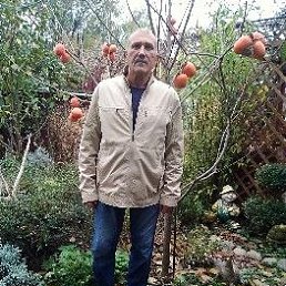 , 65, 