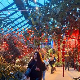 ���� ����, ����, 34 ���� - ��������� 13 ����� 2026