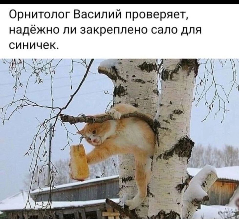 ������� - 18 ������ 2023 � 00:25