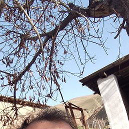 ���� �������, �����, 58 ��� - ��������� 17 ������ 2024