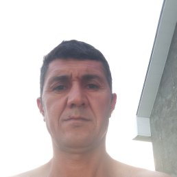 , 43, 