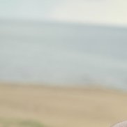 , 36 , 