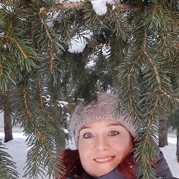 ���� �������, ��������� - ��������� 3 ������� 2026