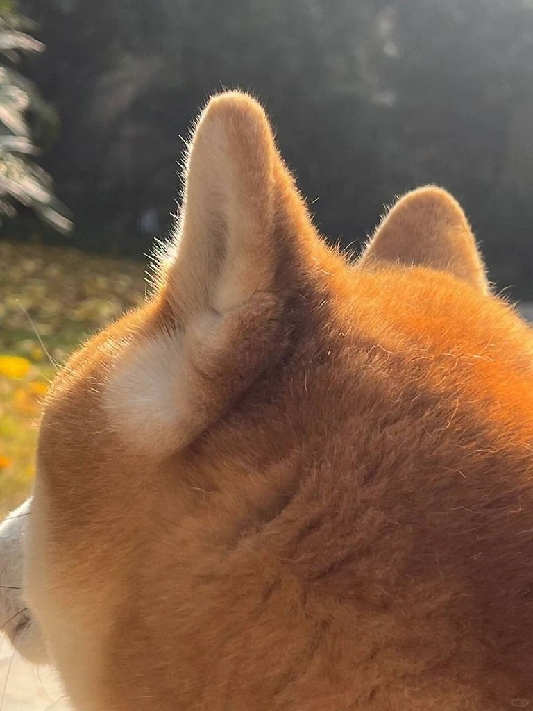 ��� ���� :3 - 3