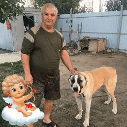 �������, 61 ���, ����