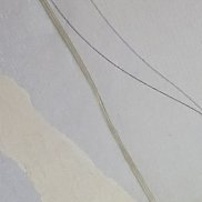 �����, 49 ���, ������