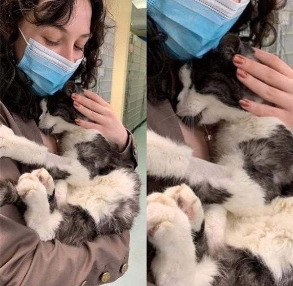 Эта женщина взяла 20-летнего кота из приюта, потому что не хотела, чтобы тот провёл остаток жизни в ...