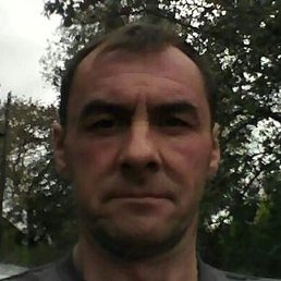 , , 55 