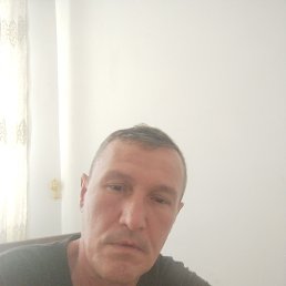 , 50, 