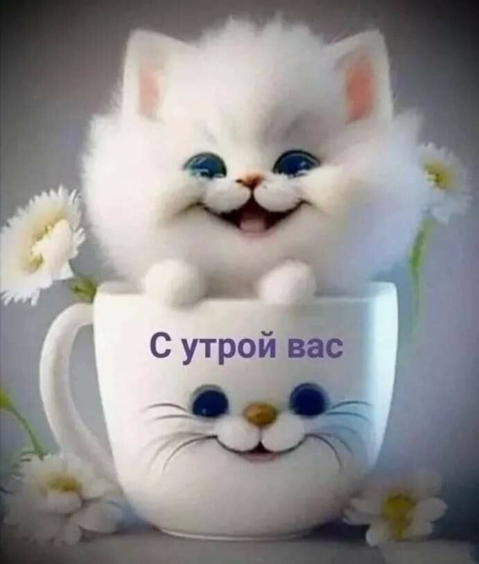 ***Victoria Viktorovna*** - 26  2023  04:24