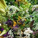 ���� ������, ����������, 54 ���� - ��������� 27 ���� 2025 � ������ ���� ����������