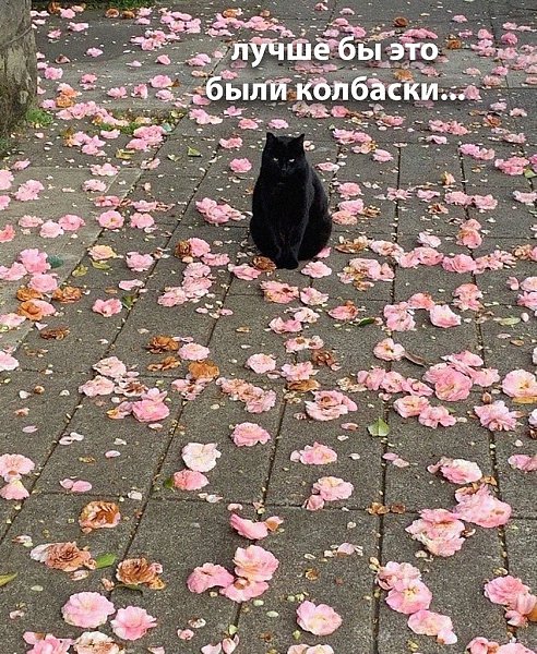 ��������� ��...