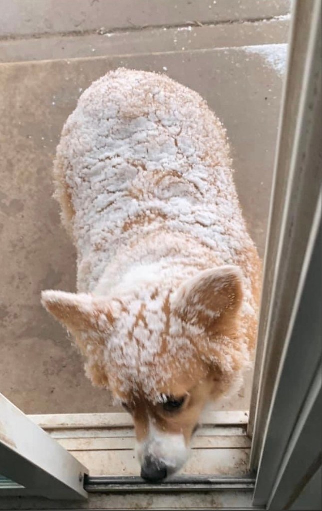 Блин, извините. Случайно две фотографии одинаковые скинула