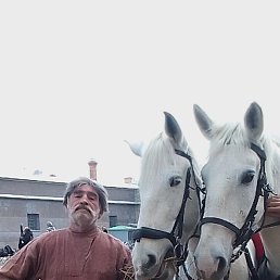 ����, �����-���������, 65 ���