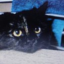 ���� ����, ������, 64 ���� - ��������� 6 ������� 2025