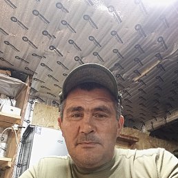 , 45, 