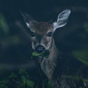 ���� ��������, ������, 58 ��� - ��������� 22 ������� 2025 � ������ ���� ����������