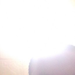 ���������, ����, 40 ���