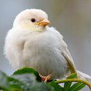 ���� ���������, �����-��������� - ��������� 20 ���� 2024 � ������ ���� ����������