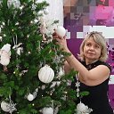 ���� �����, �����, 50 ��� - ��������� 9 ������ 2026 � ������ ���� ����������