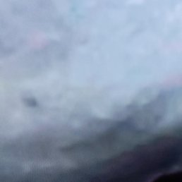 ������, ������, 55 ���