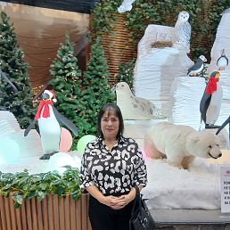 ���� ������, ������-��-����, 57 ��� - ��������� 24 ������� 2026