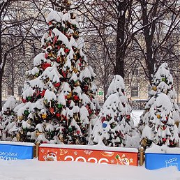 ���� Flower, ������ - ��������� 16 ������ 2026